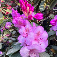 23-06-03 17-23-08 5825